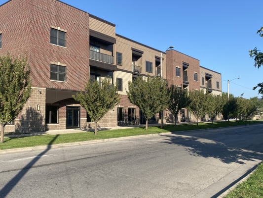 NewBo Ivy property